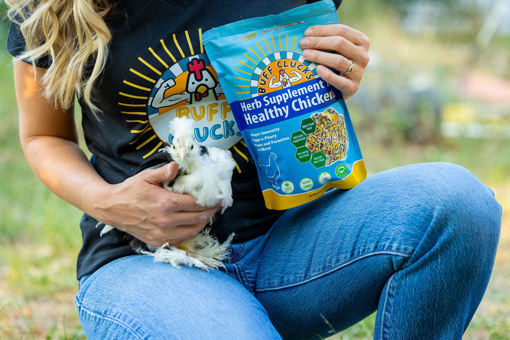 Herb Supplement For Backyard Chickens