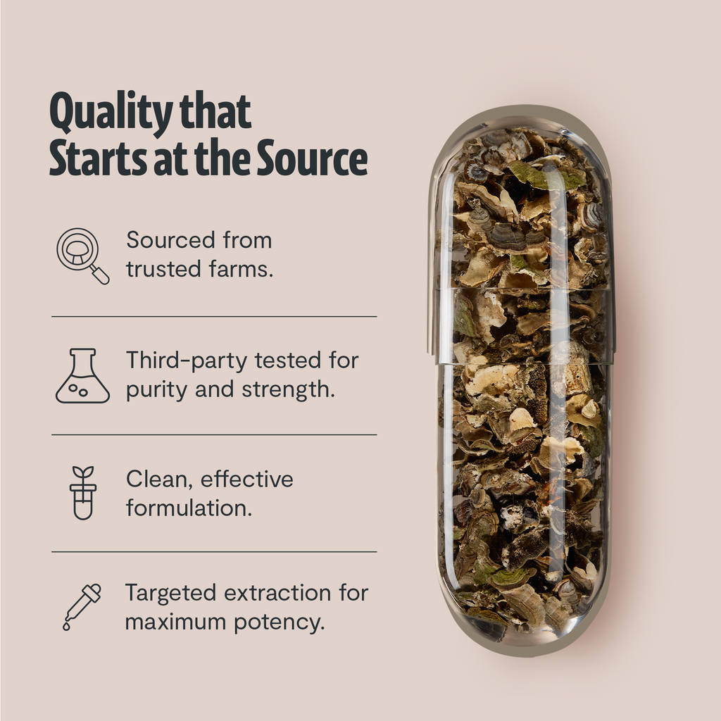 Turkey Tail Mushroom Extract Capsules