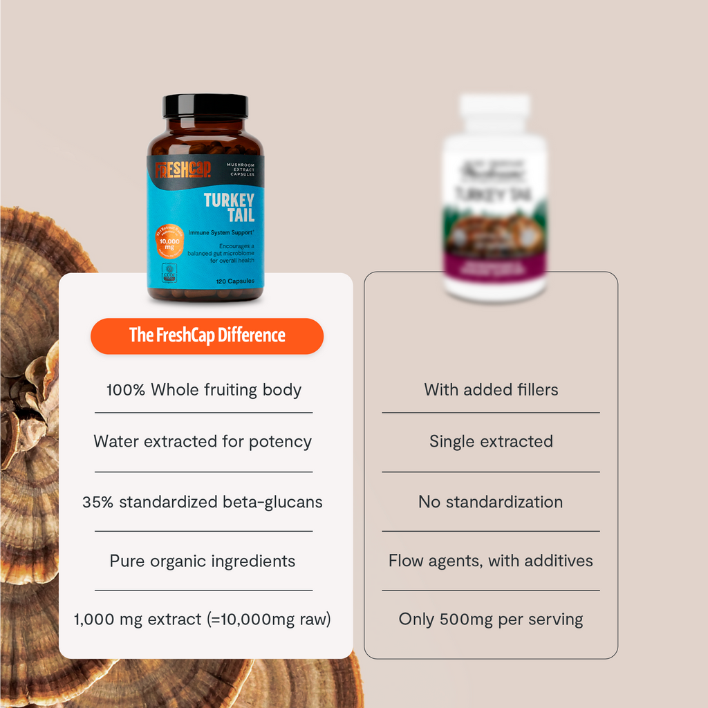Turkey Tail Mushroom Extract Capsules