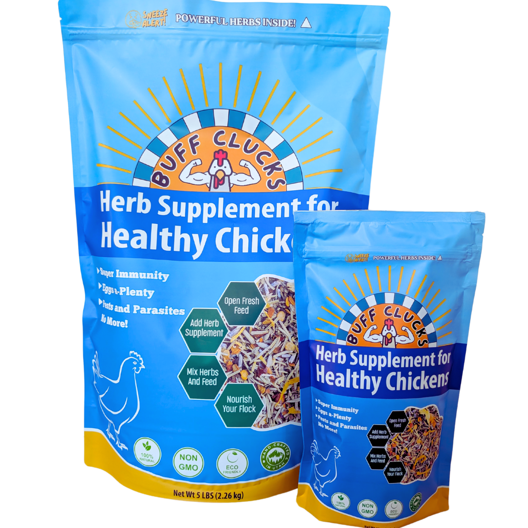 Herb Supplement For Backyard Chickens