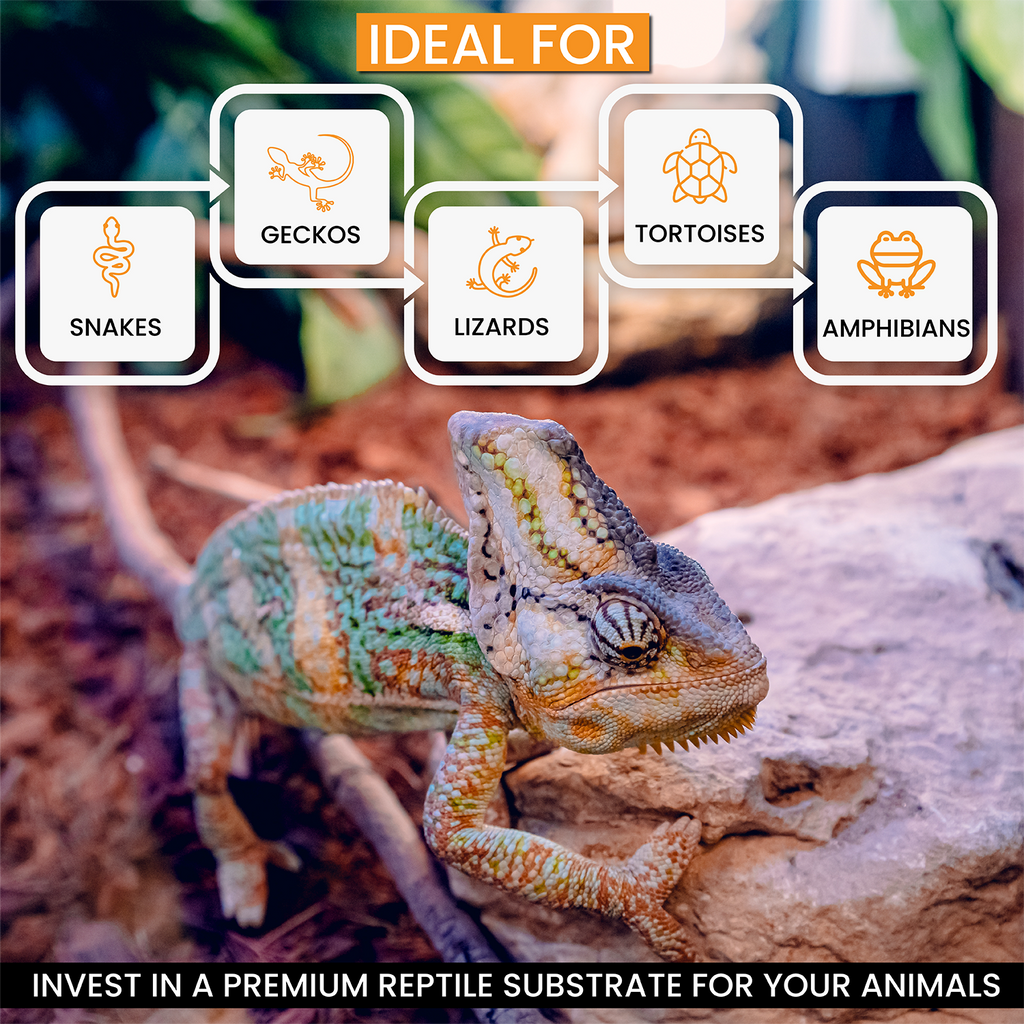 ReptiChip Breeder Blocks and Bundles